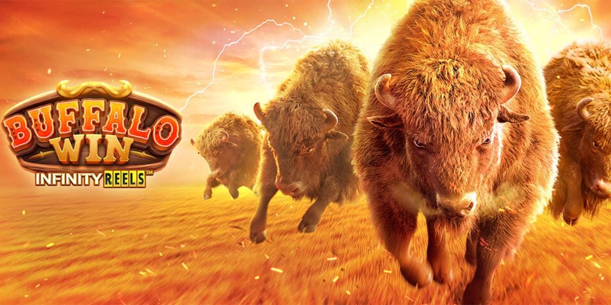 ร่วมกันปกป้องธรรมชาติอันสวยงามใน BUFFALO WIN!