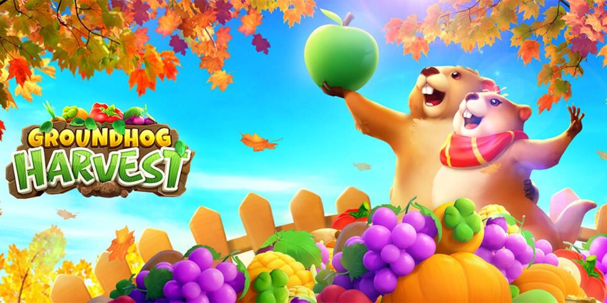 “GROUNDHOG HARVEST” แล้วคุณจะทึ่ง! ในความฉลาดและน่ารักของมัน